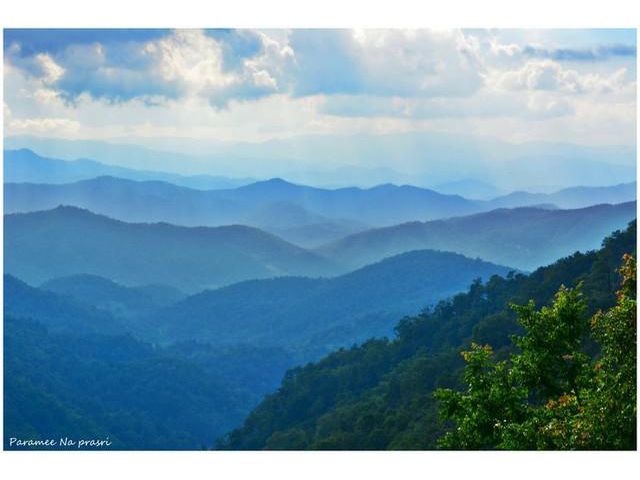 ขายที่ดินด่วน  8 ไร่ อ.สะเมิง เชียงใหม่แบ่งขายได้