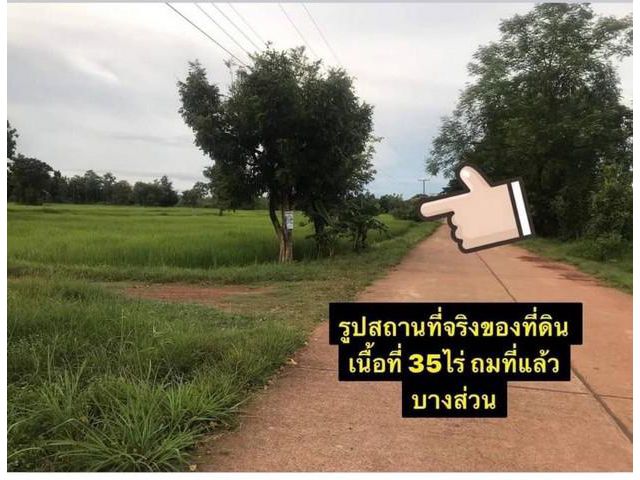 ที่ดินเปล่าทำเลทอง  เนื้อที่ 30 ไร่