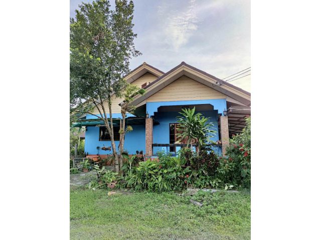 ขายบ้านพร้อมที่ดินเนื้อที่ 1 ไร่ “Home for sale by owner 1 rai“