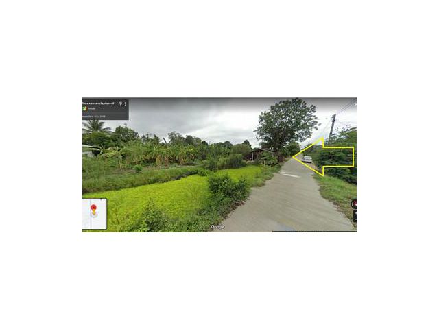 ขายที่ดินคลอง 12 หนองเสือ ใกล้ถนน รังสิต-นครนายก