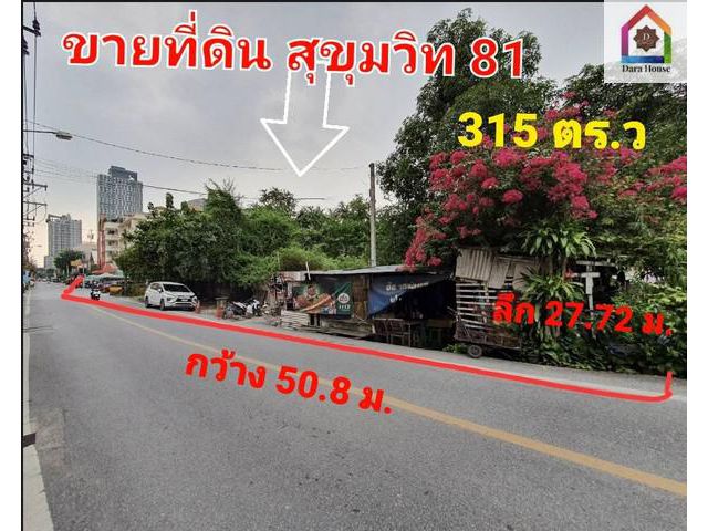 ขายที่ดินเปล่า สุขุมวิท 81 พน. 315 ตร.ว แปลงสวย