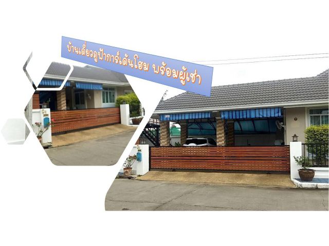 ขายบ้านเดี่ยวในเมือง โซนป่าแดด