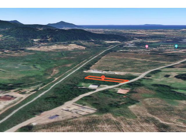 ขายที่ดินเปล่า เนื้อที่318 ตารางวา บางเสร่ อำเภอสัตหีบ ชลบุรี