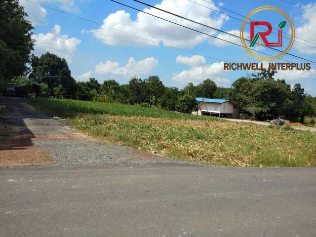ที่ดินแบ่งขายพนมสารคาม 70 ตรว. ใกล้ถ.เส้น 3017 - 400 เมตร ฉะเชิงเทรา