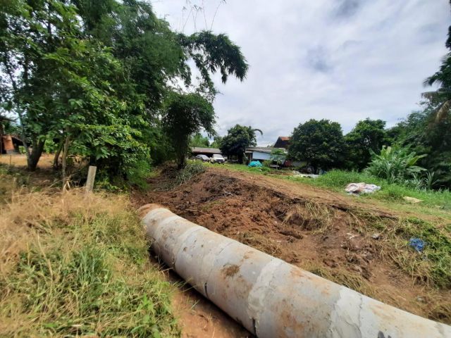 ขายที่ดินสด/ผ่อนหนองเสือเริ่มต้น 60 ตรว. ถมแล้วราคาถูกใกล้ถ.331 - 2 กม. ฉะเชิงเทรา