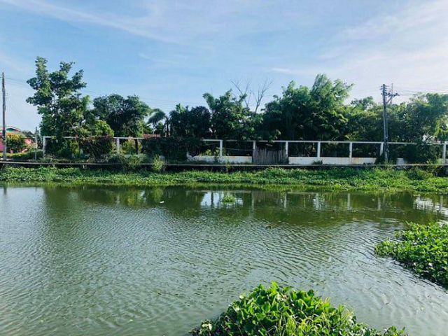ขายที่ดินบางปะกง 9 ไร่ ติดคลองสำโรง ได้ที่งอกเพิ่ม 4 ไร่ ใกล้ถนนบางนา-ตราด (34) - 3 กม. จ.ฉะเชิงเทรา