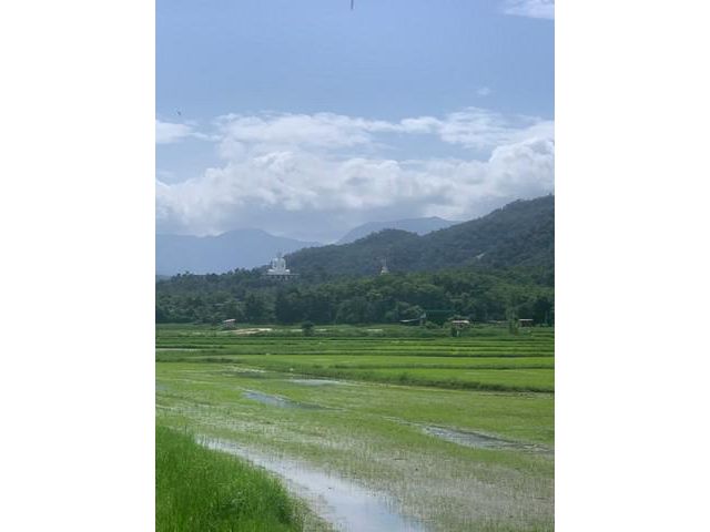ขายที่ดิน 7 ไร่กว่า วิวภูเขาอากาศดีก จ.ตาก