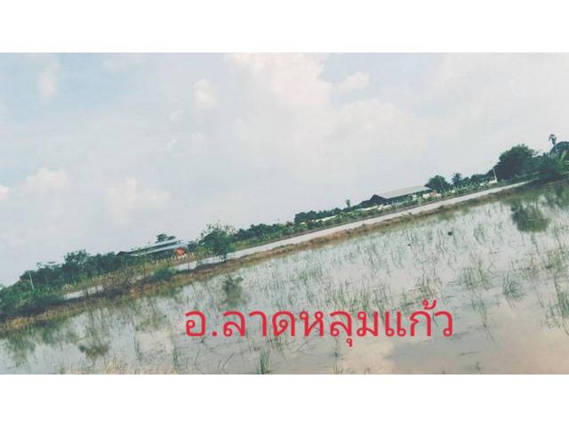 ทรัพย์ดีไม่มีผิดหวัง จ.ปทุมธานี5ไร่.0837124115