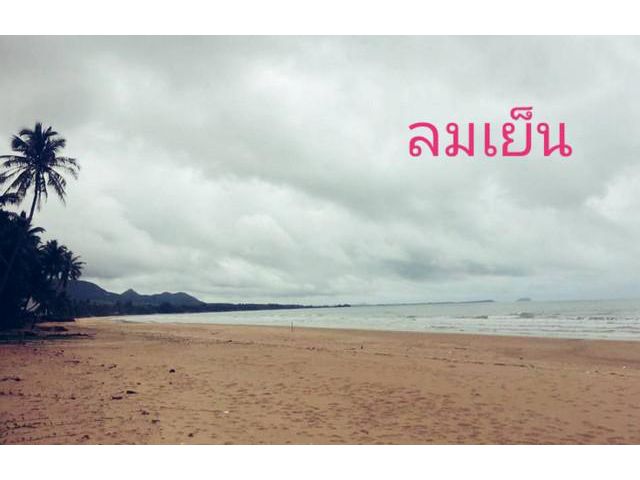 ทรัพย์ดีไม่มีผิดหวัง ที่ติดทะเล ชุมพร 264วา
