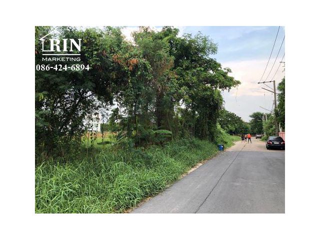 L721a ขายที่ดินเปล่า 174 ตรว. เฉลิมพระเกียรติ ร. 9 ซ. 38 ตรงข้ามวิทยาลัยเกษมสันต์