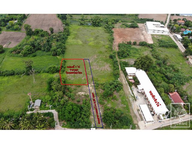ที่ดินหลุดขายฝาก 1 ไร่ มทส.ประตู 4 ใกล้วัดหนองบง ต.สุรนารี ราคาถูก