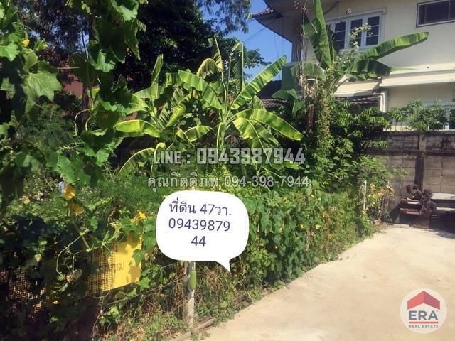 ขายที่ดินเปล่า 47 ตรว. หมู่บ้านเสรี-อ่อนนุช