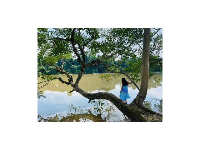 ขายที่ดินติดแม่น้ำแควน้อย กาญจนบุรี