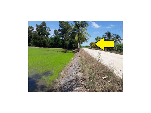 ขายที่ดินคลอง 12 ลำลูกกา ใกล้โซนถนน รังสิต-นครนายก
