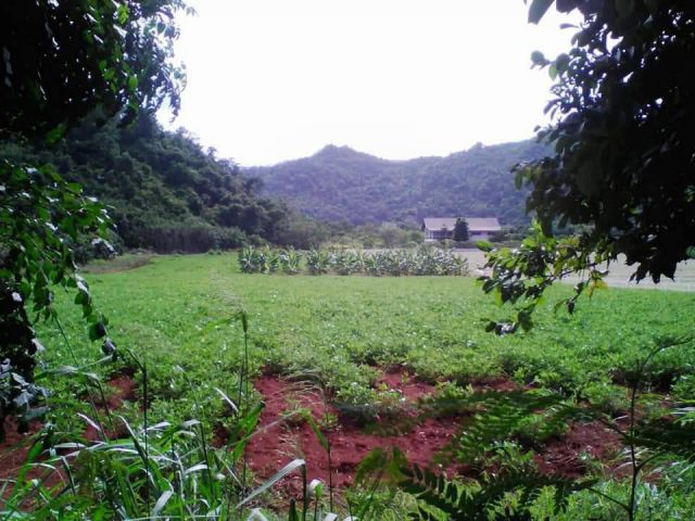 ขายที่เขาใหญ่ หนองน้ำแดง 7ไร่ ติดถนนทางหลวง ที่ติดเขา วิวสวย ใกล้เส้นธนรัชต์ 4.6 กม. เหมาะซื้อลงทุน ทำบ้านพัก โรงแรม ที่