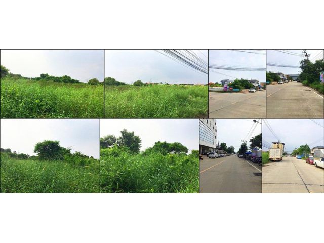 ขายที่ดิน 4 ไร่ ในโครงการสวนเก้าแสน บางปลา 28 บางพลี