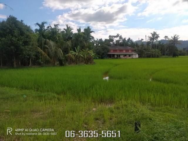 ขายที่วิวเขา ต.เขาพระ อ.เมืองนครนายก