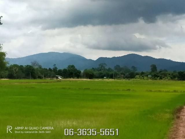ขายที่ดิน ทุ่งรวงทอง ต.เขาเพิ่ม อ.บ้านนา จ.นครนายก