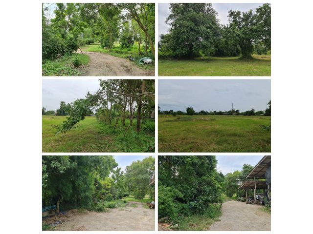 ที่ดินราคาถูก ใกล้ถนนสายหลัก 3357 เนื้อที่ 3ไร่ 3งาน 45ตรว.ที่โฉนด น้ำไฟพร้อม ยกแปลง 1,550,000 บาท
