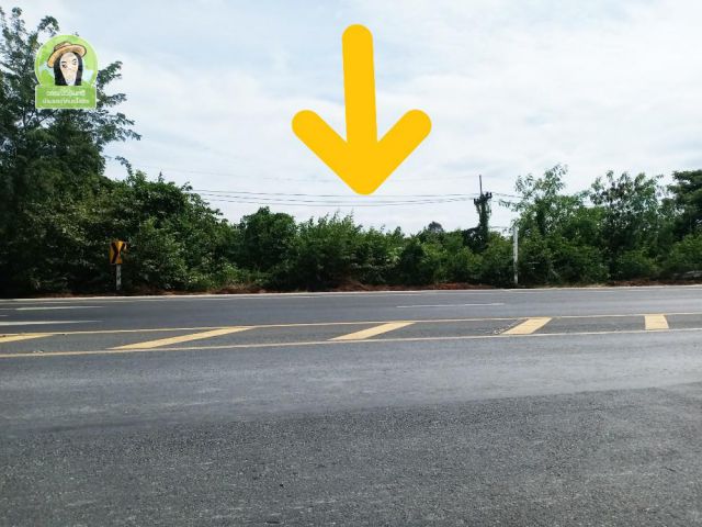 ที่ดินติดถนนพนมไพร-สุวรรณภูมิ