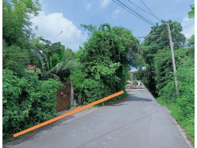 ที่ดินเปล่า