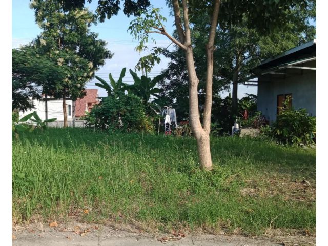 ที่ดินแปลงเล็กแถมบ้าน ต.สันโป่ง อ.แม่ริม