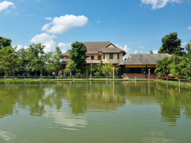 ขายบ้านสันกำแพง บ้านสวน มีบ่อปลา(มีตาน้ำ)​ วิวนา วิวเขา เนื้อที่ 3-0-38 ไร่ ราคา 16 ล้าน