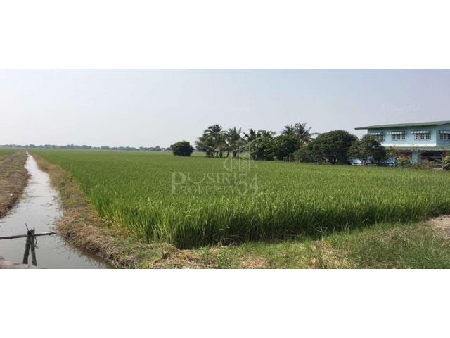 ขายที่ดิน 14 ไร่เศษ ติดถนนเลียบคลอง 4 ฝั่งตะวันออก ใกล้กับโรงเรียนวัดมงคลพุการาม - KK2267S