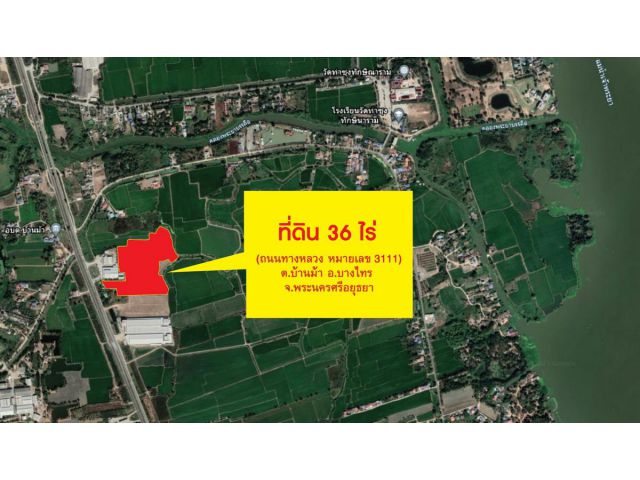 ขายที่ดิน 36 ไร่ 3 งาน 54 ตรว. อ.บางไทร อยุธยา