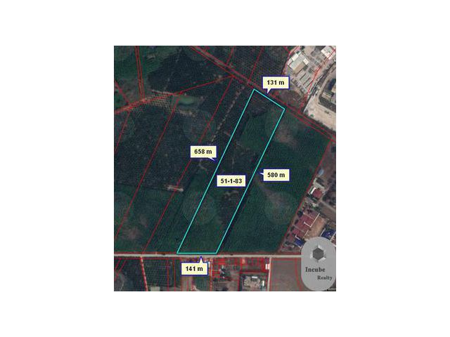 ขายที่ดิน หนองอิรุณ 51-1-83 ไร่ 155 ล้านบาท