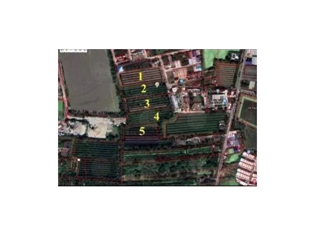 ขายที่ดิน บางเตย สามพราน 18-1-49 ไร่  183.72 ล้าน