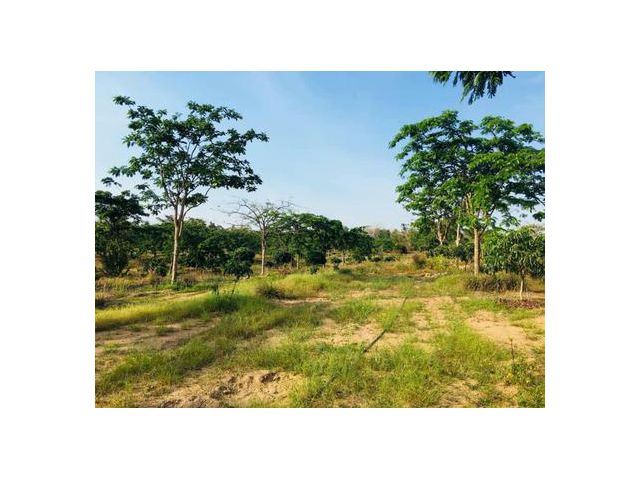 ขายที่ดิน โป่งน้ำร้อน 41-3-61 ไร่ 126 ล้าน