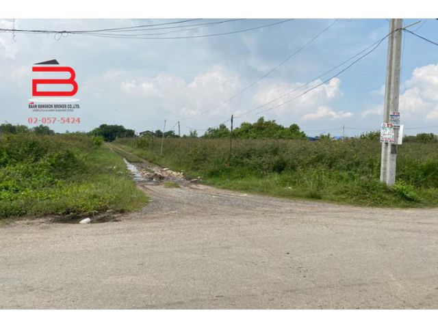 ที่ดิน (ถมบางส่วน) ซอยเลียบวารี 59 เนื้อที่ 90 ตรว. ถนนสุวินทวงศ์ เขตหนองจอก