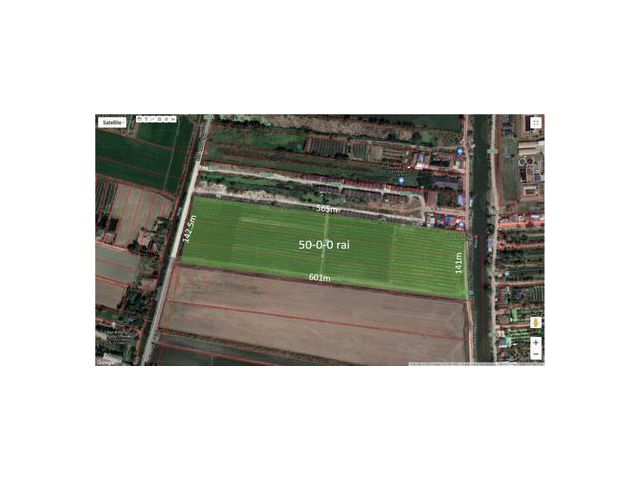ขายที่ดิน ไทรใหญ่ 50-0-0 ไร่ 80 ล้านบาท