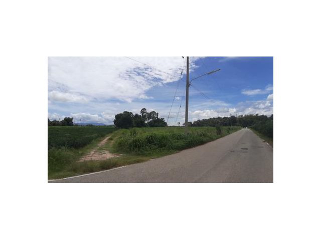 ขายที่ดิน หนองอิรุณ 114-0-89 ไร่ 97.1 ล้าน