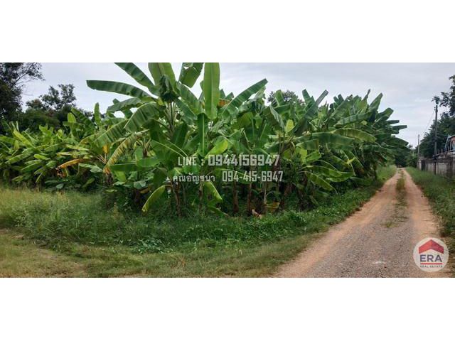 ที่ดิน 1 ไร่ 32 ตารางวา ซอยคลองสี่ตะวันออก34