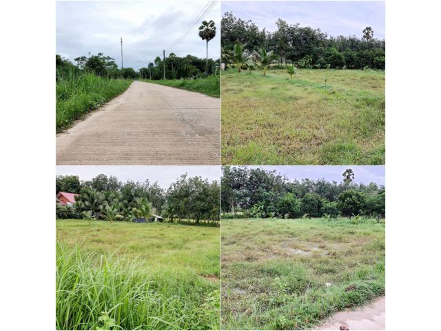 ขายที่ดินจะนะ บ้านขุนทอง