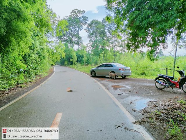 ️ขายที่สวนเกษตรเขตนนทรี กบินทร์บุรี ที่ในหมู่บ้านติดถนนลาดยาง เนื้อที่ 16-2-63 ไร่