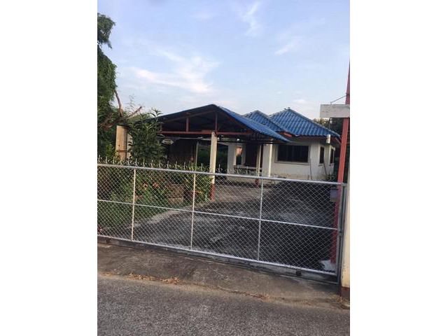T01649 ให้เช่าบ้านเดี่ยว บ้านม่วงม้าใต้ สันกำแพง