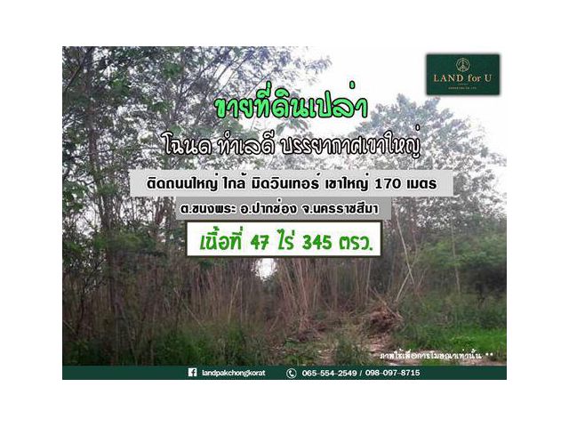 #ขายที่ดินเขาใหญ่ปากช่อง #ขายที่ดินเขาใหญ่ระหว่างกม.5กับกม.6 #ติดถนนธนะรัชต์ #ด้านขวาติดร้านอาหารมิดวินเทอร์เขาใหญ่