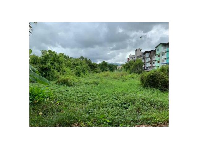 ขายที่ดิน  จันทนิมิต 5-3-78 ไร่ 56 ล้าน
