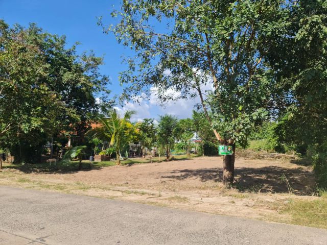 ที่ดินสร้างบ้าน 200 ตร.ว. หนองกินเพล/วารินชำราบ