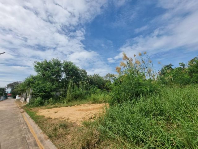 ขายที่ดินถมแล้วในเมืองแปดริ้ว 124 ตรว. ซอยลิเก ใกล้โฮมโปรฉะเชิงเทรา - 500 เมตร จ.ฉะเชิงเทรา