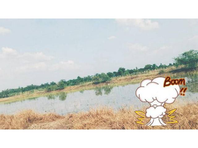ขายถูกเฉพาะโควิด จ.ปทุมธานี5ไร่.0837124115