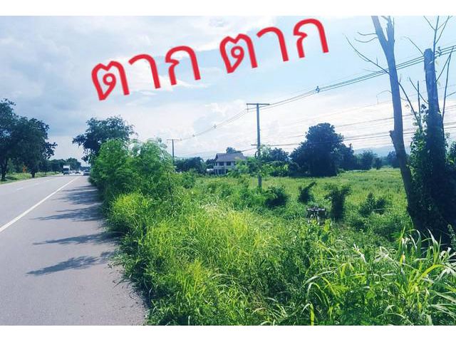 ขายถูกเฉพาะโควิด ที่ติดถนนเอเซีย  ไร่ 2ลบ.