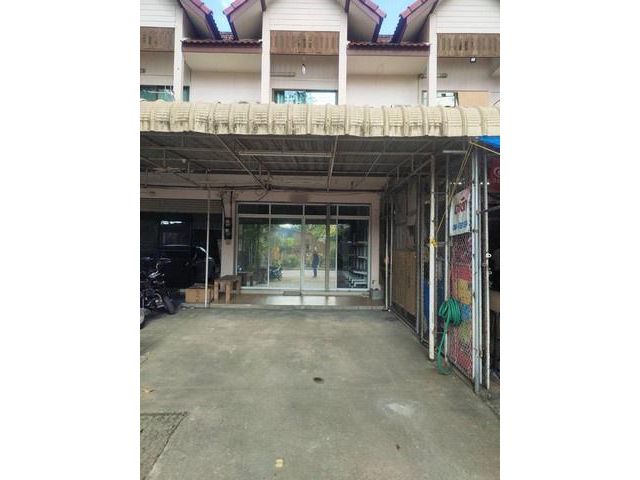 T01656 ให้เช่าตึกแถว ติดถนนเส้นต้นยาง ยางเนิ้ง