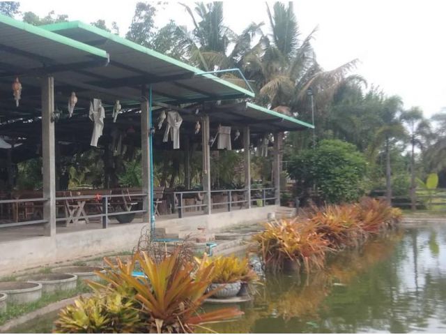 ที่ดินพร้อมกิจการร้านอาหารและโกดังห้องเย็น