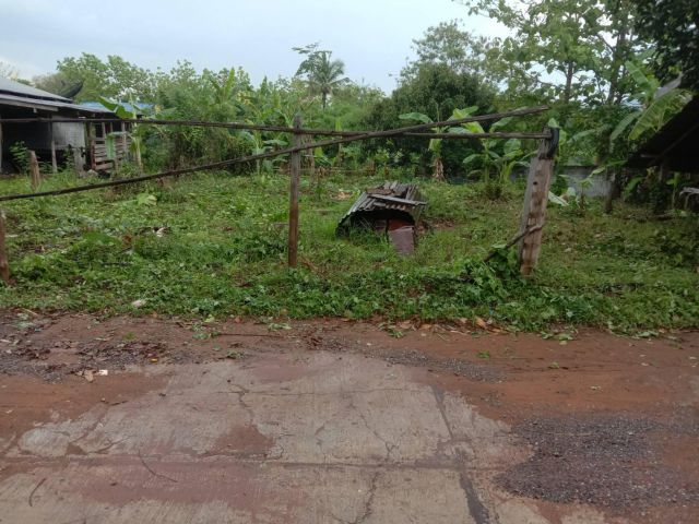 ขายที่ดินสำหรับสร้างบ้านโฉนด 106 ตรว. บ้านห้วยไผ่ ต.ห้วยส้ม อ.ภูกระดึง จ.เลย