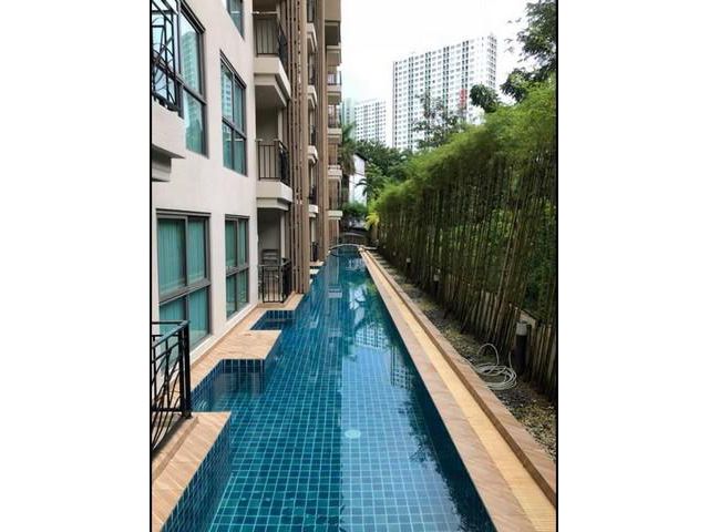 LVNe50402 ขาย/เช่า ใน วงศ์อมาตย์ ซิตี้ การ์เด้น