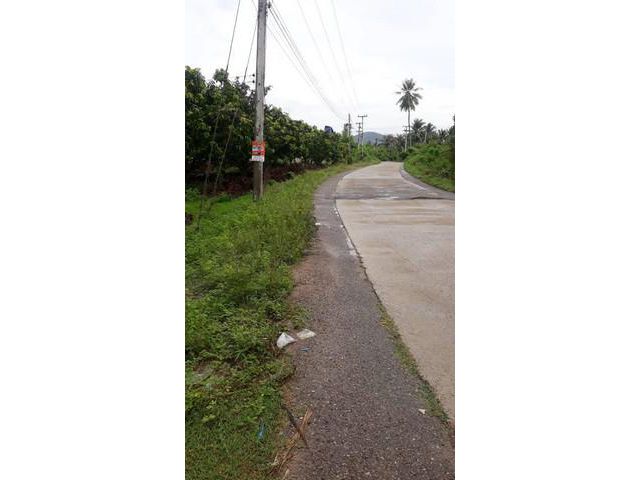ที่ดิน 22-2-71ไร่ 22ลบ.หนองตาแต้ม ปราณบุรี ประจวบ